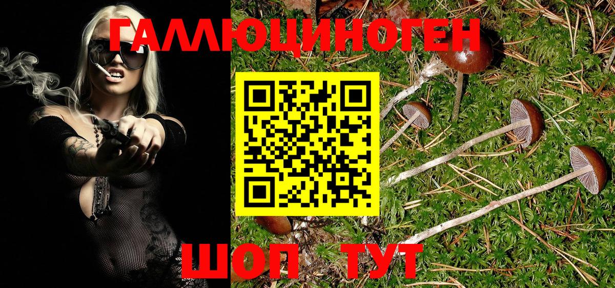 Галлюциногенные грибы Magic Shrooms Артём
